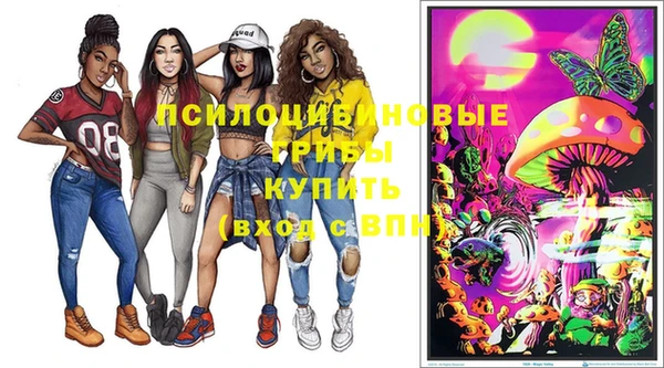 дурь Каменка