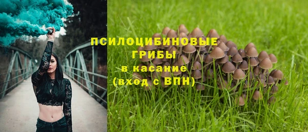 кокаин премиум Каменск-Шахтинский