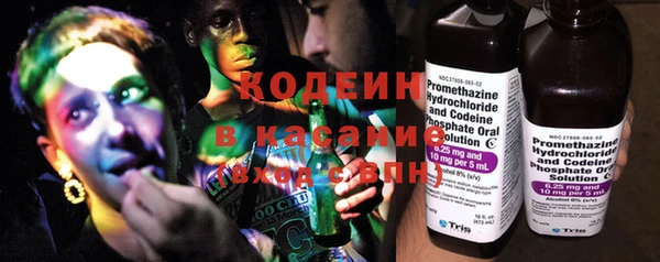 дурь Каменка