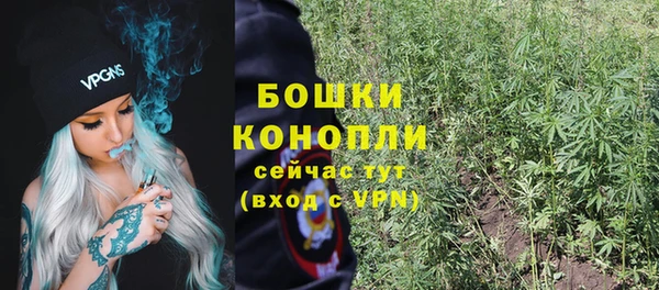 дурь Каменка