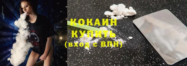 дурь Каменка